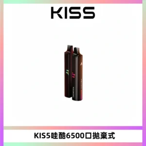 KIS5WAGOO哇酷6500口拋棄式 | 自由混搭雙口味 | 雙芯組合