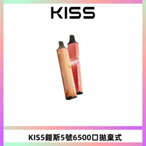KIS5鎧斯5號一次性6500口磁吸式拋棄式電子煙#自由混搭#